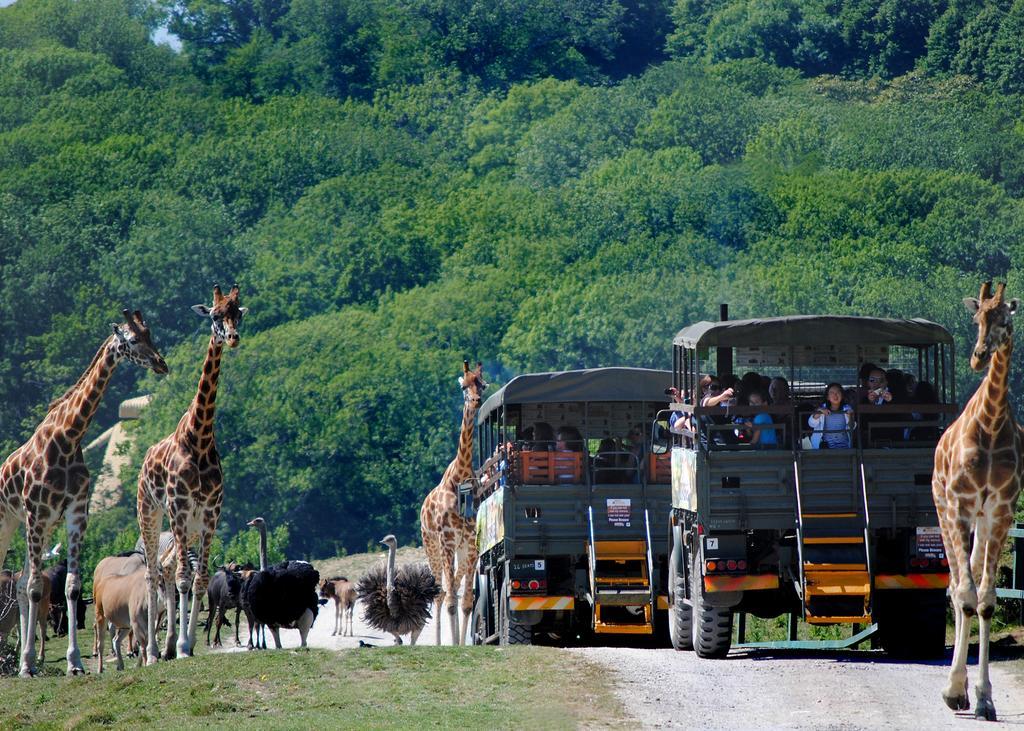 Port Lympne Mansion Hotel Ngoại thất bức ảnh